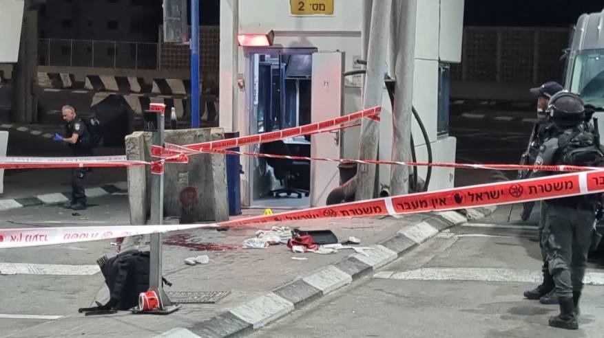 photo_2022-10-08_20-34-33 (5)