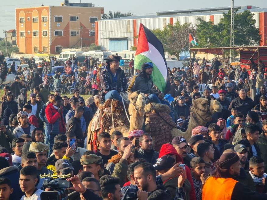 3333333333333333333333333333333333333333333333333