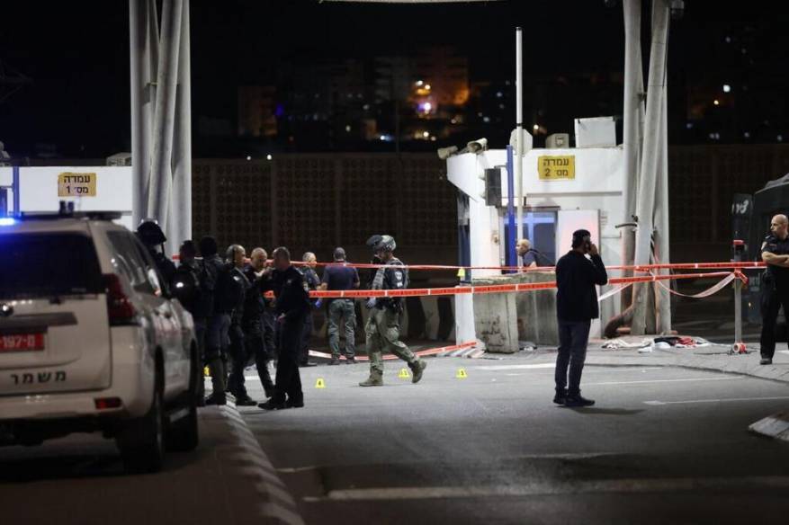 photo_2022-10-08_20-21-59