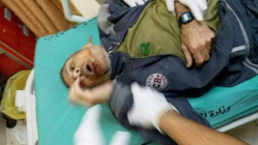 451535A3-6965-4C08-9D76-4642D914C603