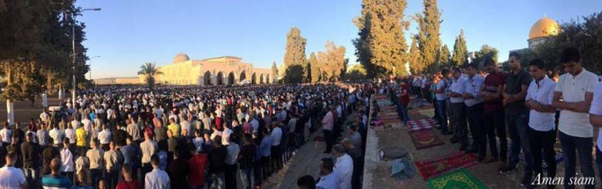 19399050_1973814459327631_533527428360062806_n