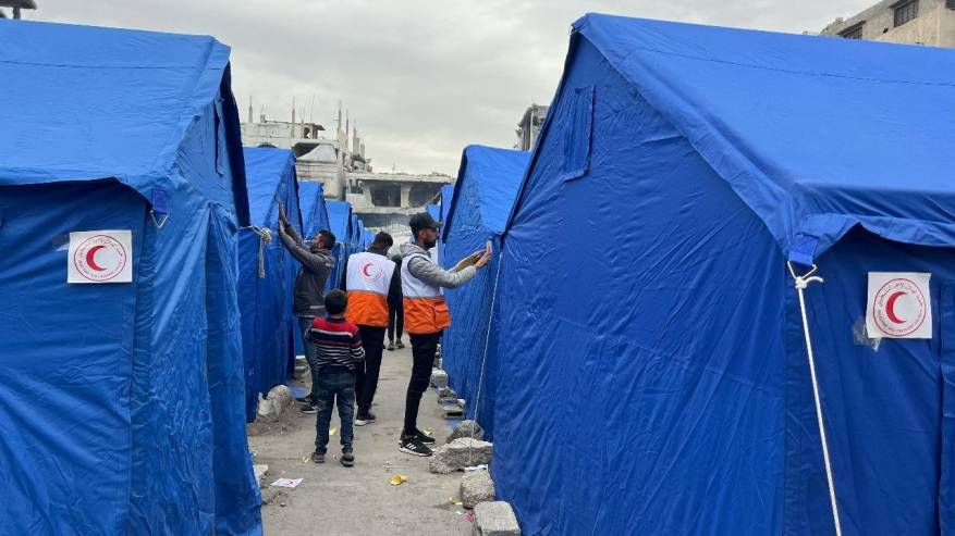 photo_2025-02-12_15-21-41