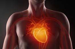 طرق طبيعية لتقوية صمامات القلب