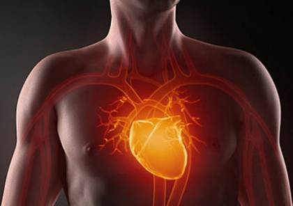 طرق طبيعية لتقوية صمامات القلب