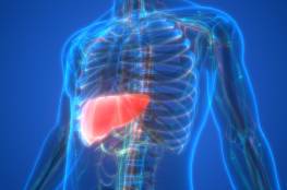 3 أعراض خفية قد تشير إلى مشكلات في الكبد