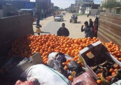 إتلاف نصف طن مواد غذائية وفاكهة فاسدة في غزة وخانيونس