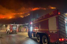 حريق كبير قرب جنين و"إسرائيل" تجلي المستوطنين (فيديو)