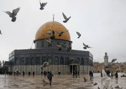 الشيخ عكرمة صبري يحذر من إغلاق الاحتلال للمسجد الأقصى