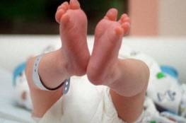 ولادة 17 طفلا في هولندا.. والوالد "مفاجأة غير متوقعة"
