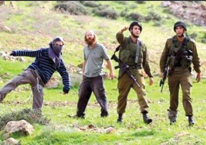 "بتسيلم": اعتداءات المستوطنين على الفلسطينيين بالضفة مدعومة من دولة الاحتلال