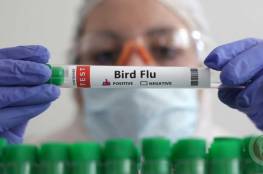 شديدة العدوى- البرازيل تُسجّل أولى الإصابات بإنفلونزا الطيور