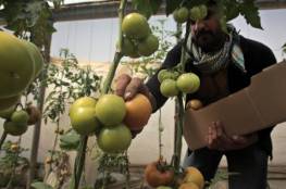 إسرائيل توقع اتفاقا خاصا لاستيراد منتجات زراعية أردنية