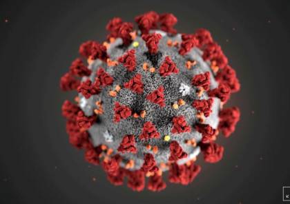 علماء يزعمون تحور فيروس كورونا لكنه لا ينتشر بشكل أسرع