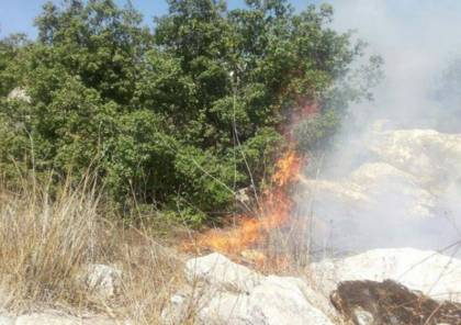 حريق كبير قرب الحدود الإسرائيلية اللبنانية