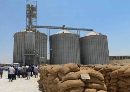 وزير الزراعة: المطلوب إقامة صوامع لتخزين القمح 