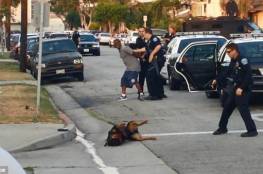 فيديو صادم: ضابط شرطة يقتل كلب بالرصاص و يثير غضب الملايين