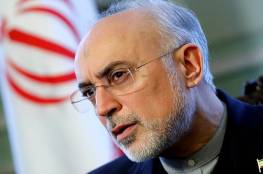وزير خارجية إيران الأسبق: واشنطن لا تنظر إلى ملفات السياسة الخارجية بنظرة مثالية