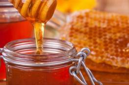 "الزراعة بغزة" تقرر منع استيراد وإدخال عسل النحل للقطاع