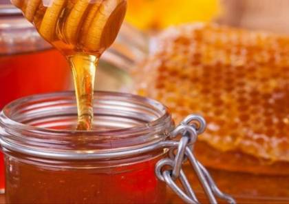 "الزراعة بغزة" تقرر منع استيراد وإدخال عسل النحل للقطاع