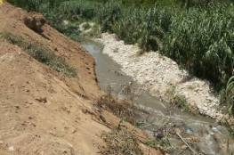 ناشط بيئي يدعو الحكومة لتحمل مسؤولياتها بحماية أراضي الأغوار الوسطى من المياه العادمة