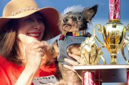 فيديو.. "سكامب ترامب" يفوز بجائزة أقبح كلب في العالم