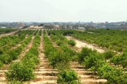 وزارة الزراعة بغزة تصدر تنويهاً هاماً للمزارعين