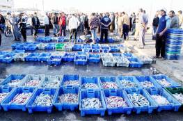 وزارة الاقتصاد بغزة تصدر قائمة باسعار الاسماك التي تباع بالاسواق
