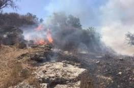 مستوطنون يحرقون مئات الأشجار جنوب نابلس