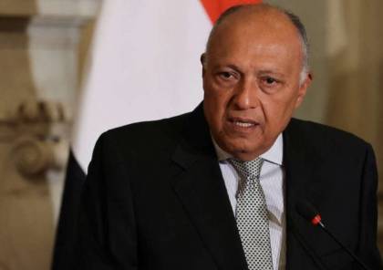 مصر تستنكر عجز مجلس الأمن عن إصدار قرار بوقف إطلاق النار في غزة 
