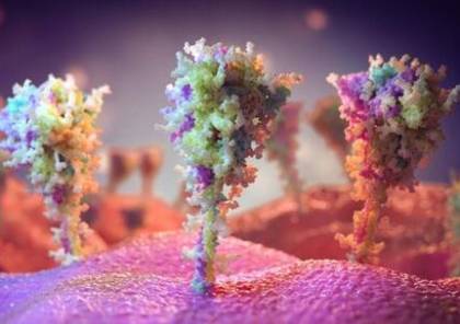 صور مذهلة تكشف كيف تنتج الخلايا بعد لقاح أسترازينيكا بروتينات "سبايك"