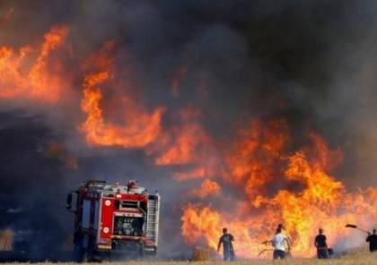 حريق بفعل بالون حارق في غلاف غزة