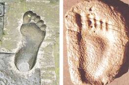 مفاجأة.. أقدام البشر تطورت قبل 3.5 مليون سنة