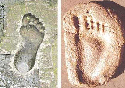 مفاجأة.. أقدام البشر تطورت قبل 3.5 مليون سنة