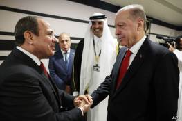 السيسي وأردوغان يتفقان على البدء الفوري في رفع مستوى العلاقات الدبلوماسية وتبادل السفراء