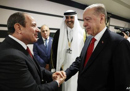 السيسي وأردوغان يتفقان على البدء الفوري في رفع مستوى العلاقات الدبلوماسية وتبادل السفراء