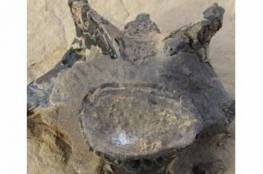 مصر.. اكتشاف حفرية ديناصور مفترس عاش قبل 98 مليون عاما