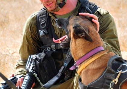 إخلاء 18 جنديا إسرائيليًا من قاعدة عسكرية للاشتباه باصابتهم بداء الكلب