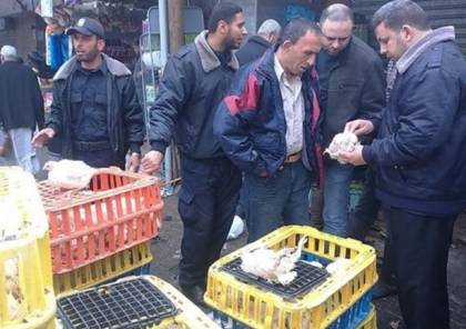 الشرطة بغزة تنوه بشأن تفاصيل ضبط محل لبيع دواجن فاسدة