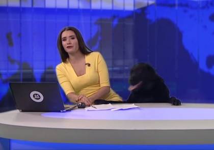 كلب يقتحم استديو أخبار في روسيا ويعانق المذيعة (فيديو)