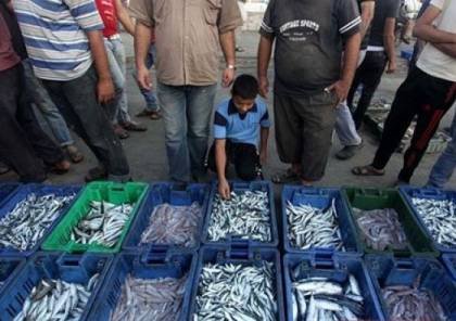 نقابة الصيادين توضح حالة الصيد وأسعار السمك لهذا اليوم