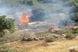 مستوطنون يحرقون عشرات الدونمات الزراعية شمال نابلس