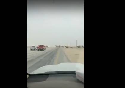 شاهد .. تفاصيل فاجعة طريق الروسان في السعودية