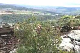 إصابة 3 جنود إسرائيليين في انفجار لغم أرضي قرب الحدود مع لبنان (فيديو)