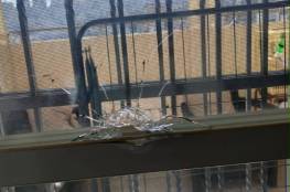 اصابة مستوطنة شمال القدس بعد تحطم زجاج منزلها بالرصاص