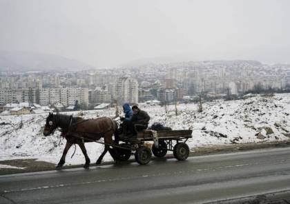 بلغاريا: الخيول ممنوعة من التجول في الشوارع