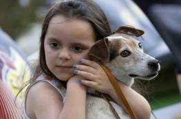 الحيوانات بالمنزل قد تحمي الأطفال من الأمراض