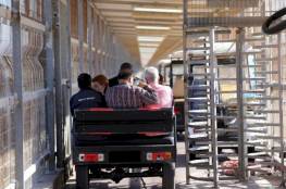 العمل بغزة: 9 آلاف شخص سجّلوا اليوم للعمل في الداخل الفلسطيني المحتل