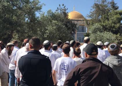 "تضليل واحتيال".. نفي فلسطيني لإلغاء الاحتلال قرار السماح بصلاة اليهود في الأقصى