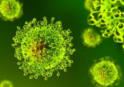 هل يتأثر فيروس كورونا بالفصول؟