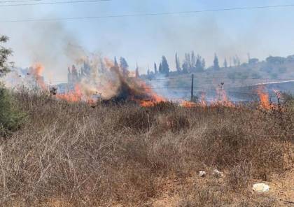 إعلام إسرائيلي: حريق في "أشكول" يُشتبه أنه بسبب بالون حارق